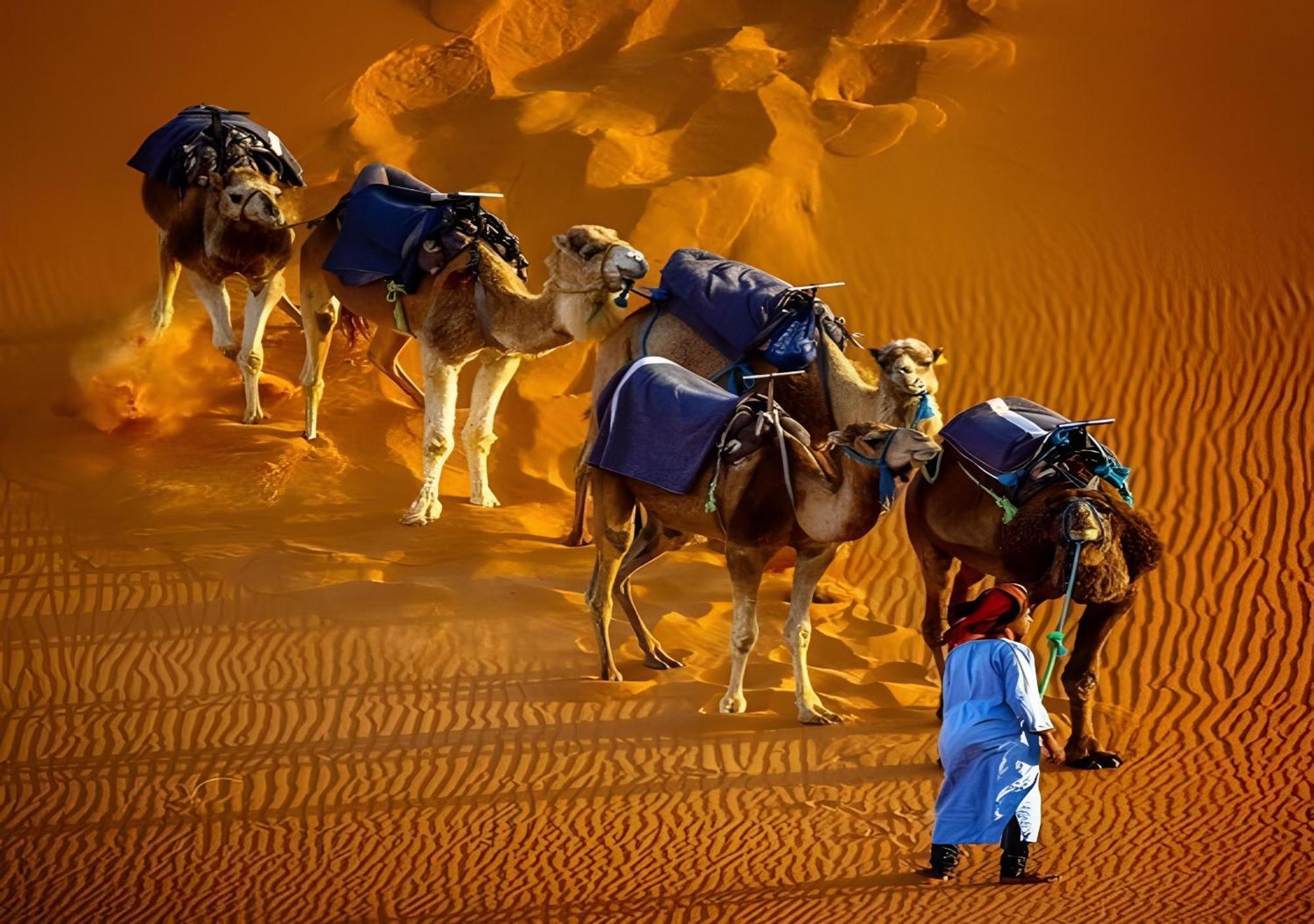 Merzouga Lovely Luxury Camp エクステリア 写真
