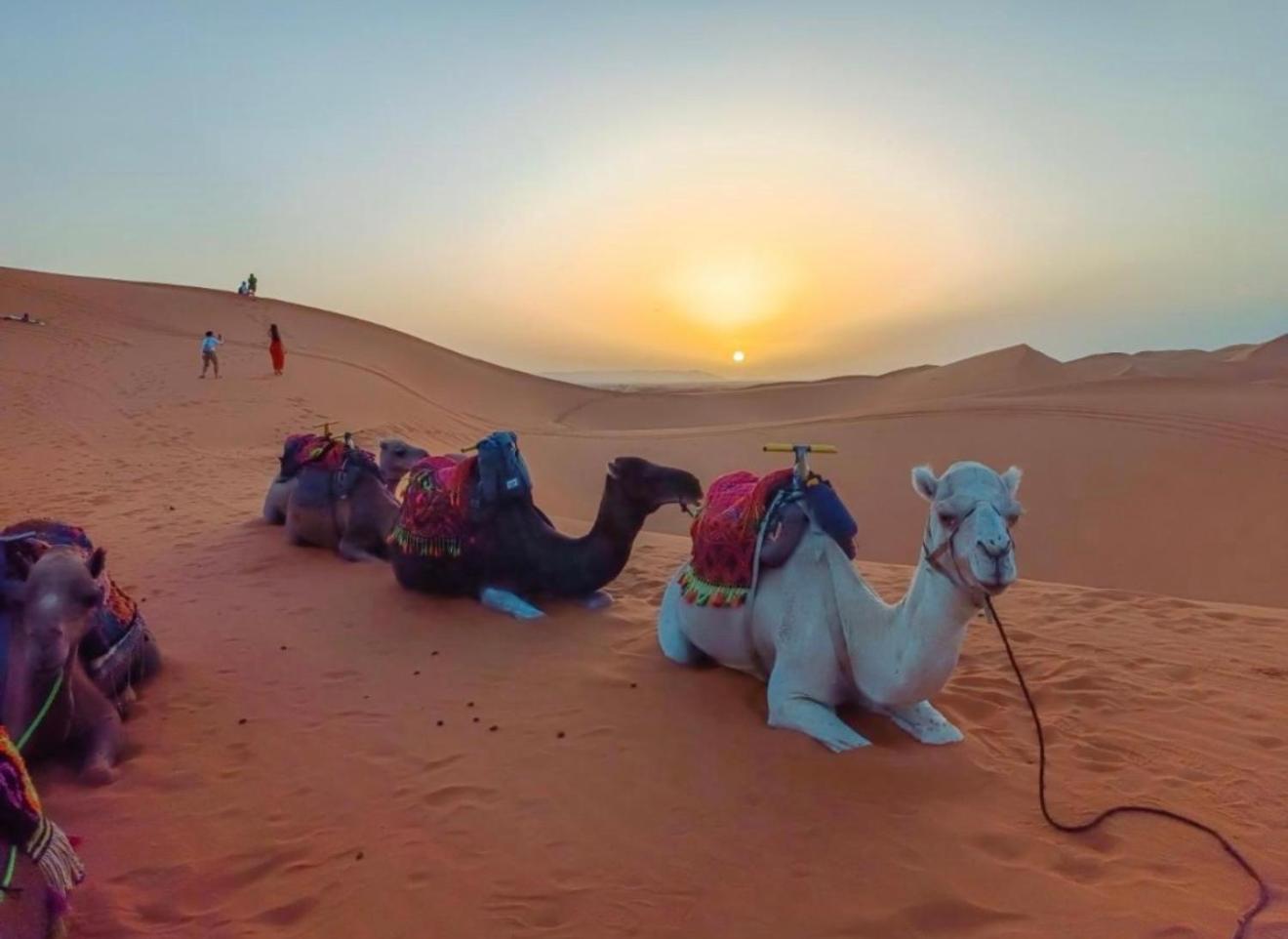 Merzouga Lovely Luxury Camp エクステリア 写真